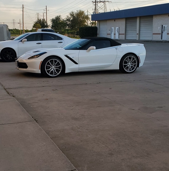 Meet your Posher, Jimmy - Picture 1 of 1